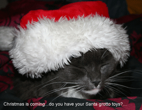 Cat in a Santa Hat